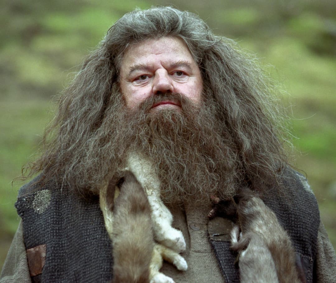 Rubeus Hagrid