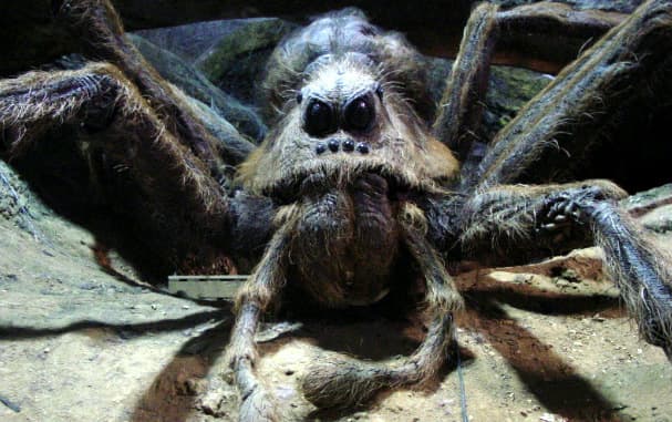 La tanière d’Aragog