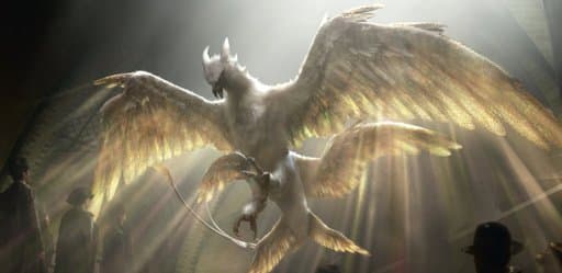 Nids des oiseaux tonnerre