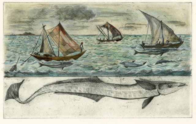 Profondeurs des Raimoras